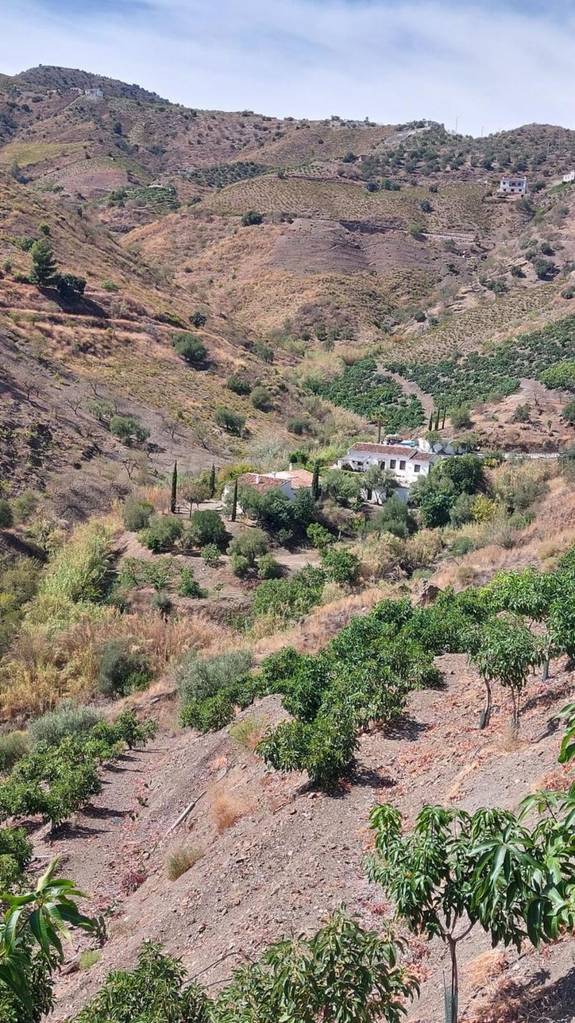 Cortijo Lagar De Luisa Pensionat Borge Exteriör bild