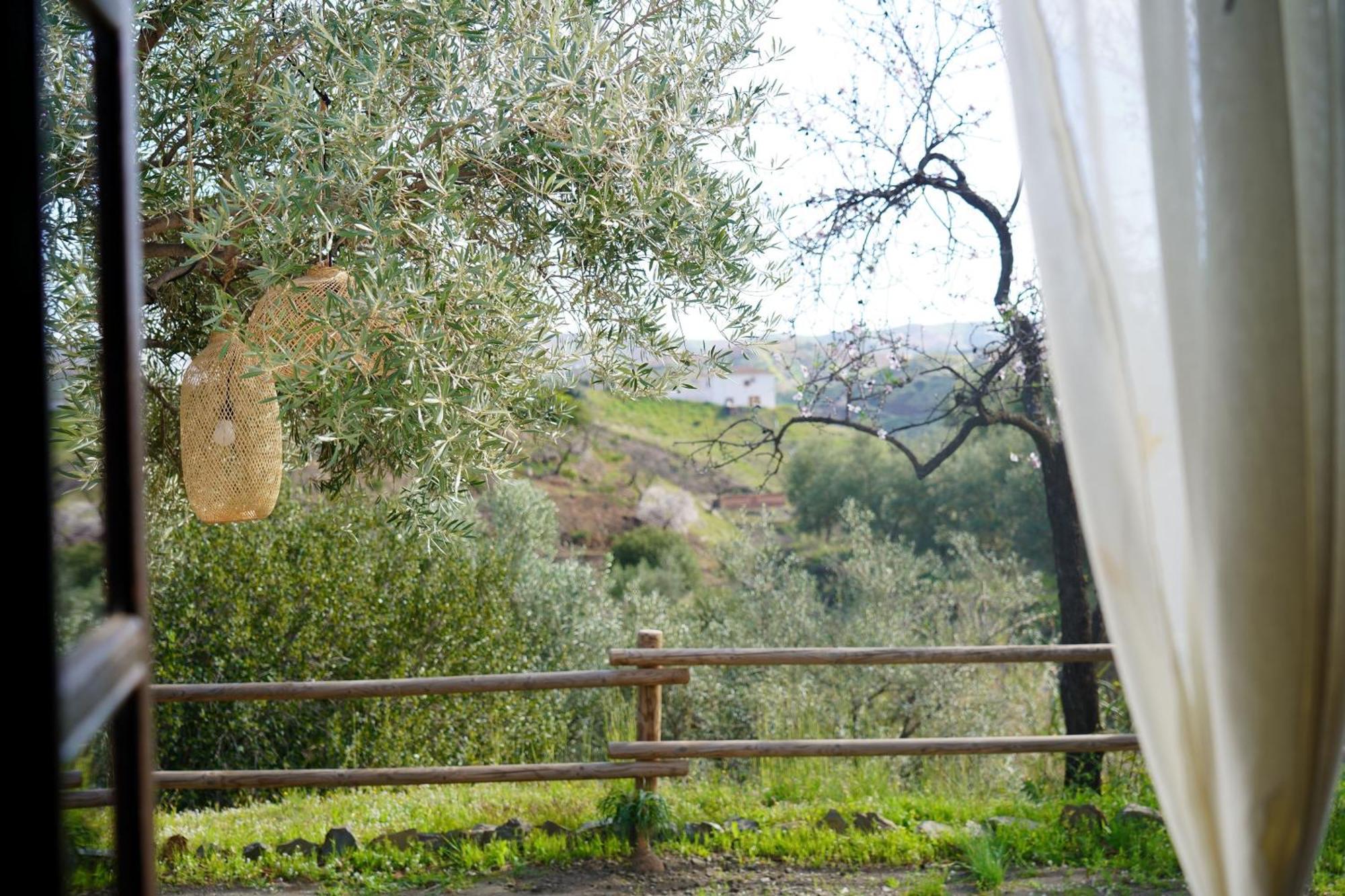 Cortijo Lagar De Luisa Pensionat Borge Exteriör bild