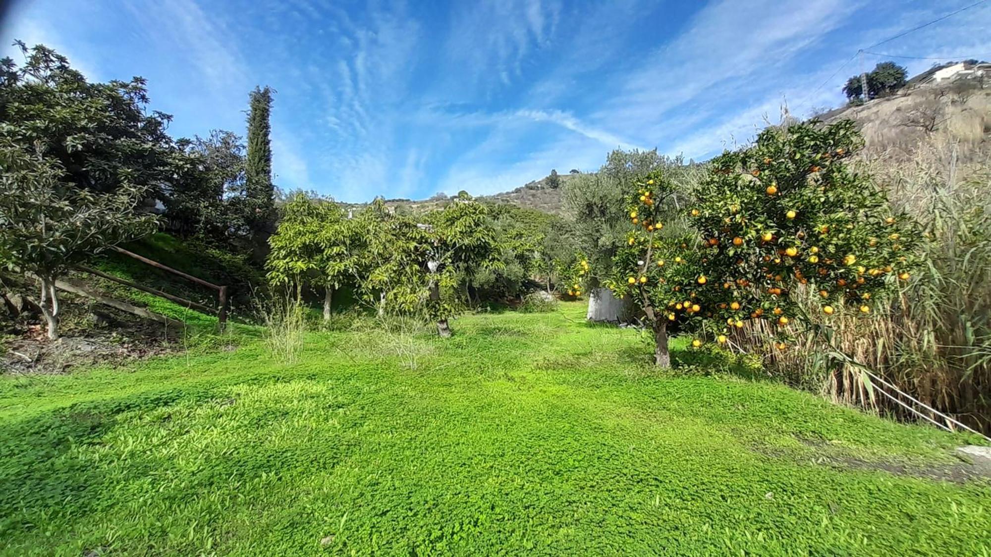 Cortijo Lagar De Luisa Pensionat Borge Exteriör bild