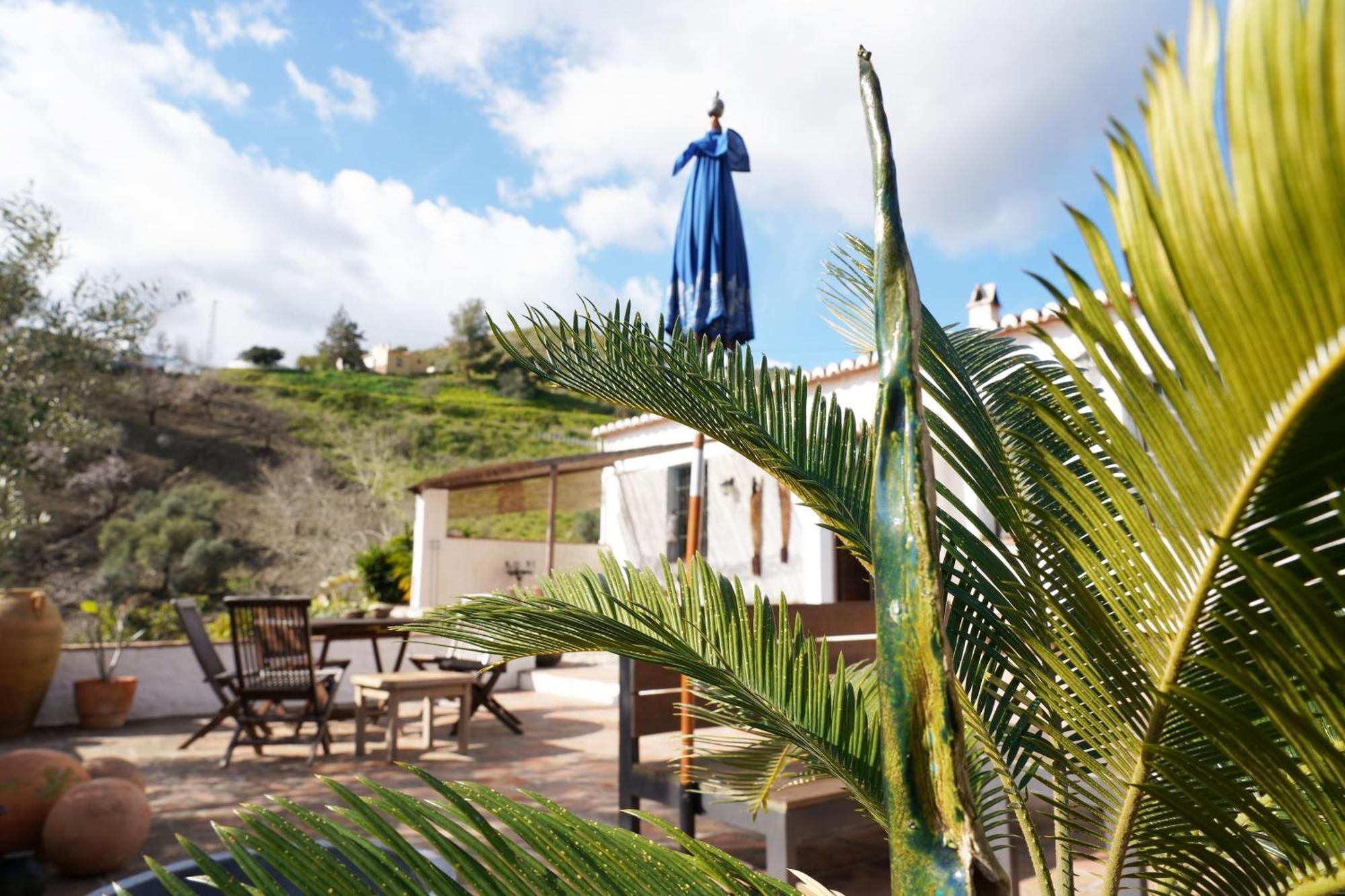 Cortijo Lagar De Luisa Pensionat Borge Exteriör bild