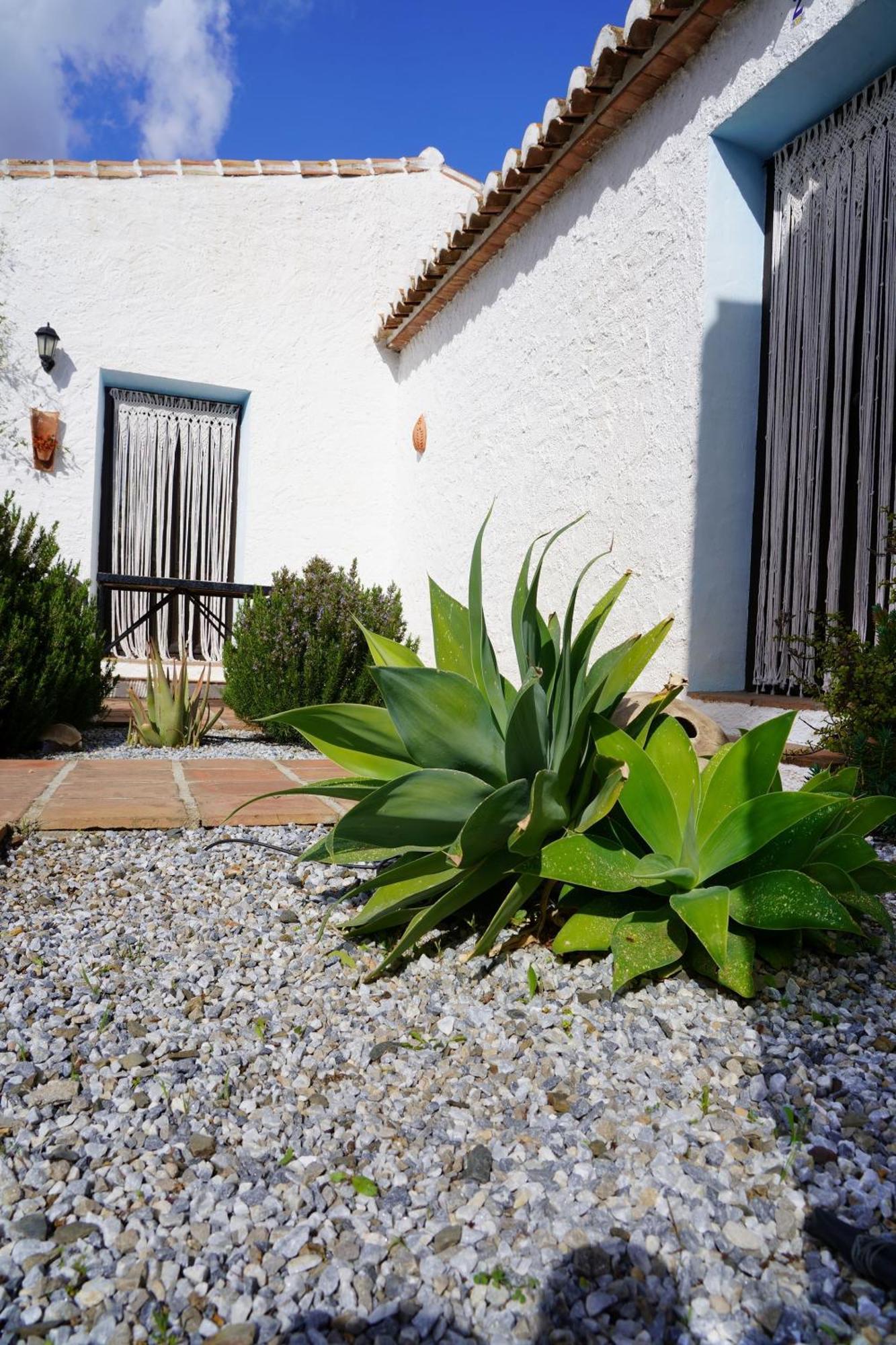 Cortijo Lagar De Luisa Pensionat Borge Exteriör bild