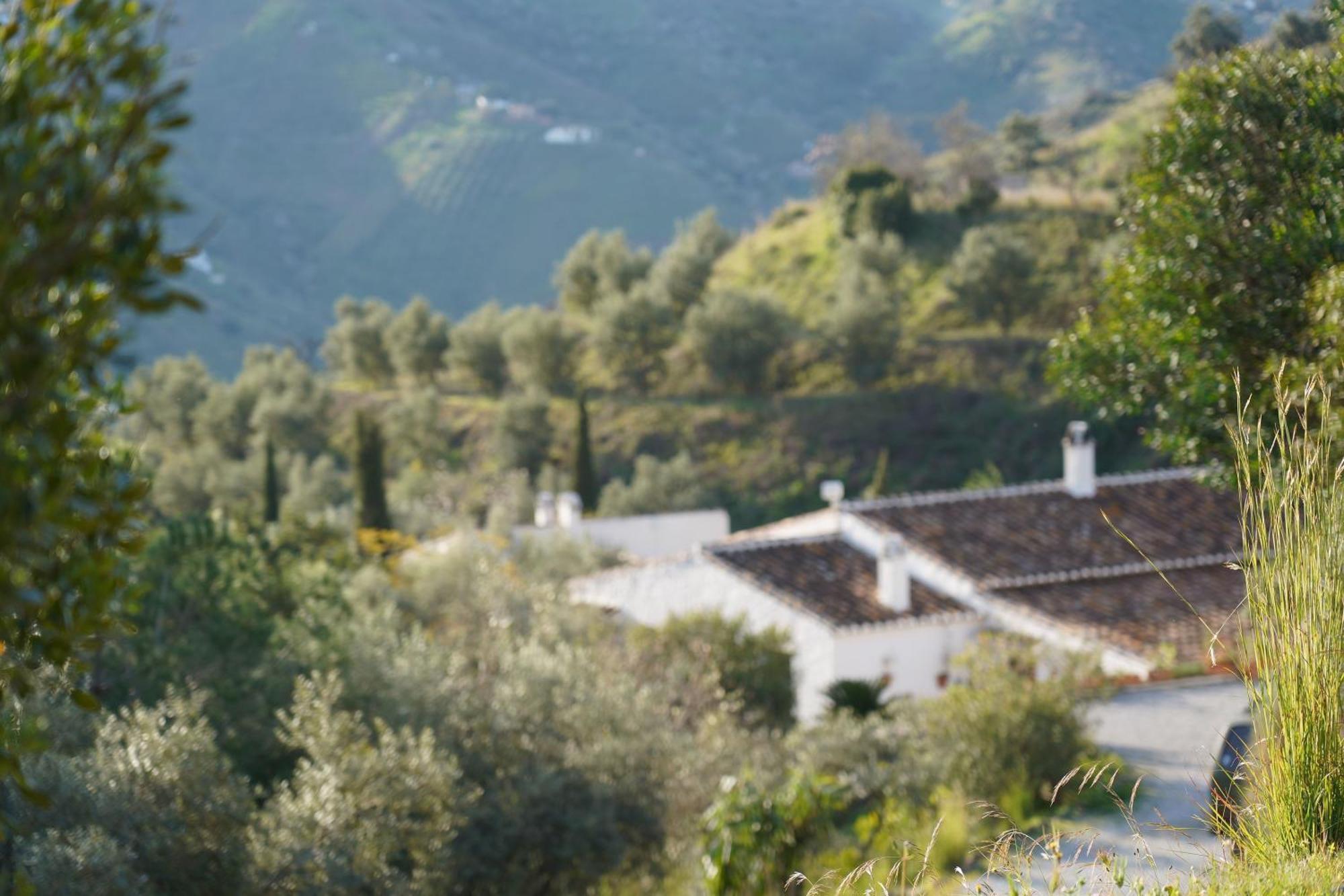 Cortijo Lagar De Luisa Pensionat Borge Exteriör bild