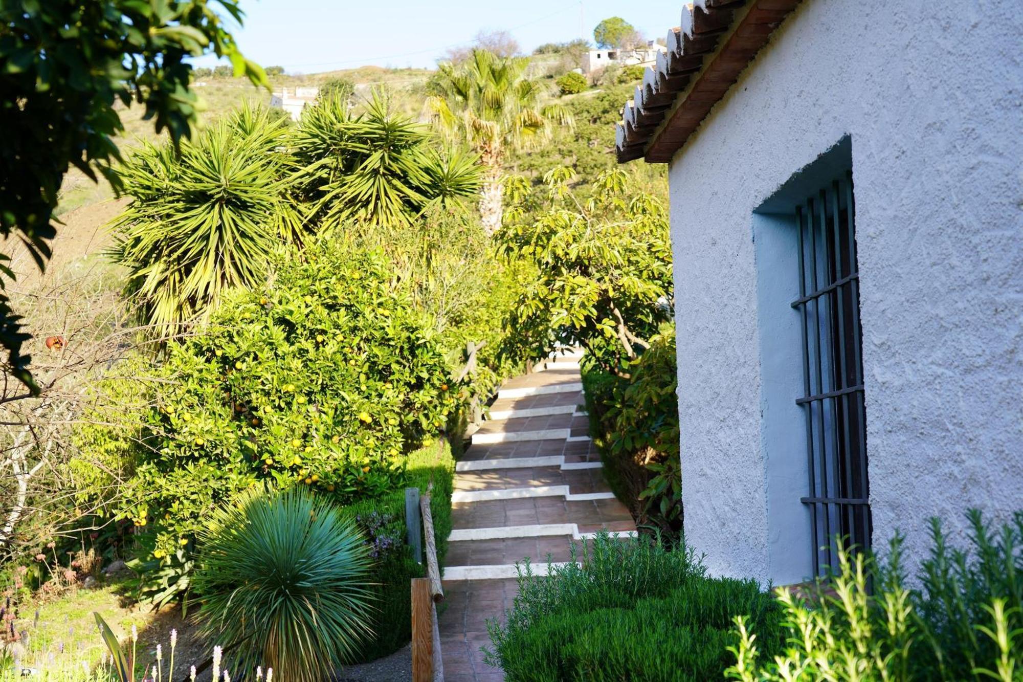 Cortijo Lagar De Luisa Pensionat Borge Exteriör bild
