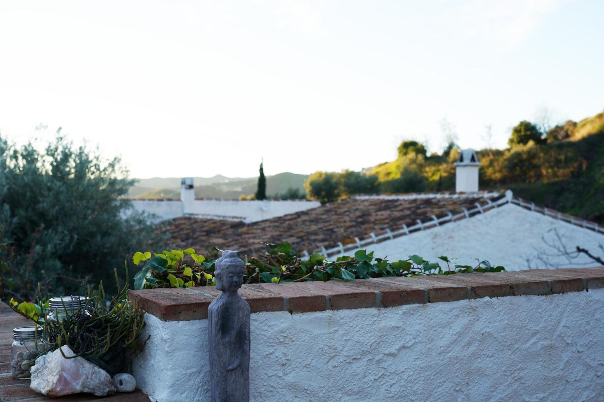 Cortijo Lagar De Luisa Pensionat Borge Exteriör bild