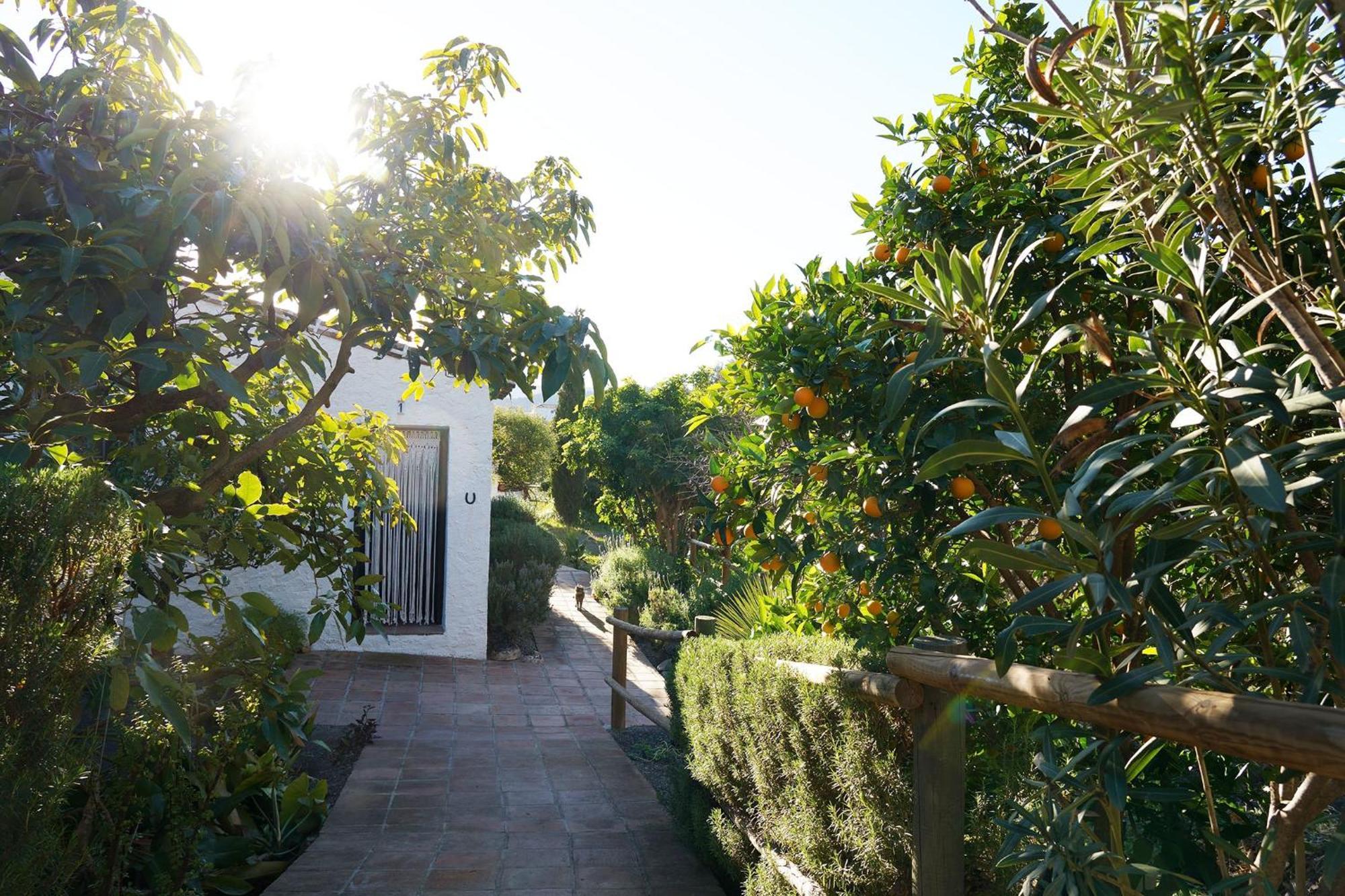 Cortijo Lagar De Luisa Pensionat Borge Exteriör bild