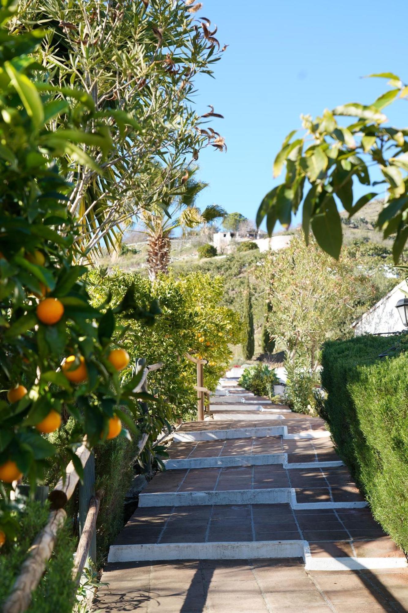 Cortijo Lagar De Luisa Pensionat Borge Exteriör bild