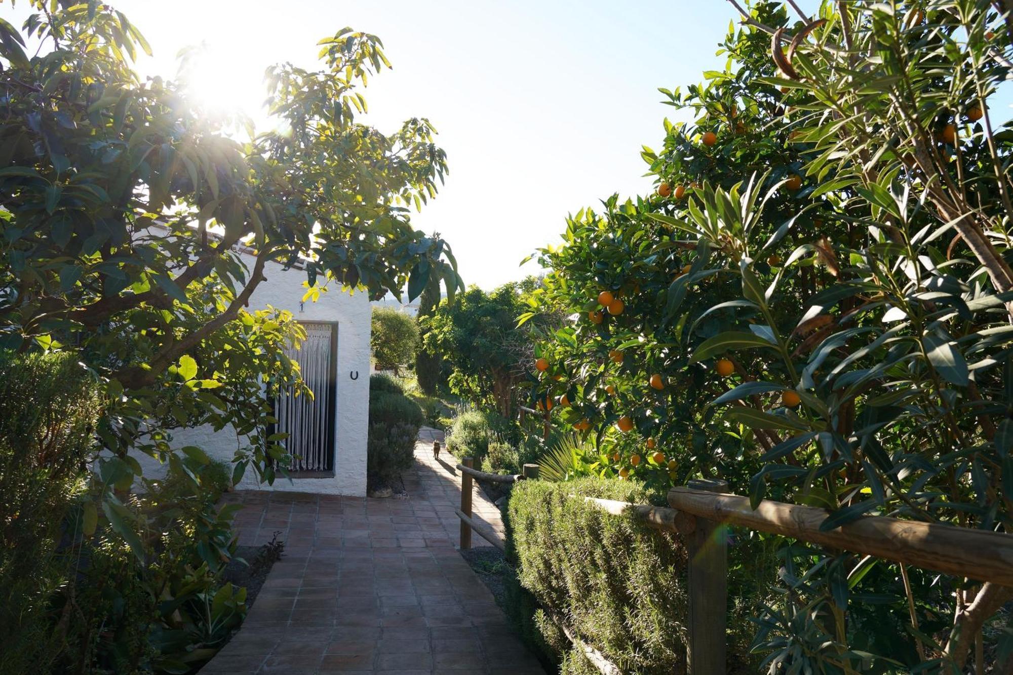 Cortijo Lagar De Luisa Pensionat Borge Exteriör bild
