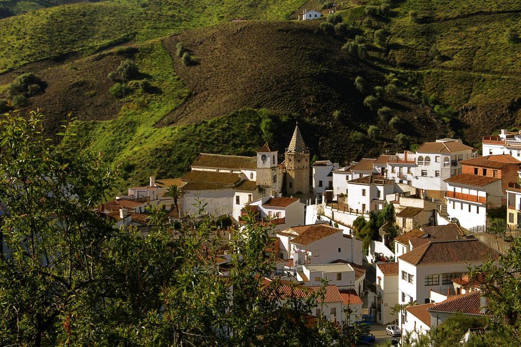 Cortijo Lagar De Luisa Pensionat Borge Exteriör bild