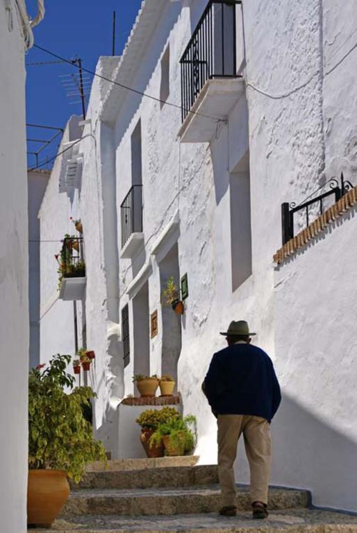 Cortijo Lagar De Luisa Pensionat Borge Exteriör bild